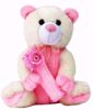 Cream and Pink Teddy Bear With Flowers,  teddy bear with roses pink onine