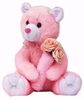 Pink Teddy with Roses 30cm, pink teddy with roses online
