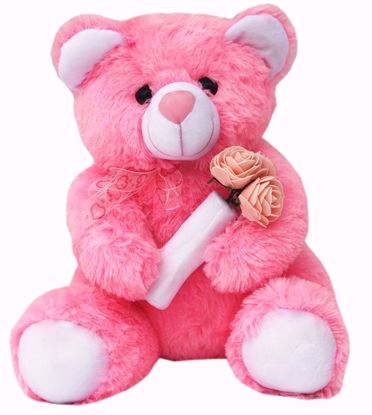Pink Teddy with Roses 40cms , pinkrose teddy online