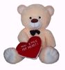Teddy Bear U Stole My Heart 50 Cms.,Teddy Bear My Heart online
