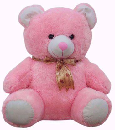 Teddy With "L,ove You" Ribbon 50cms (Pink), teddy bear with ribban online