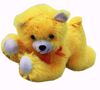 Yellow dog Teddy , teddy bear dog  online