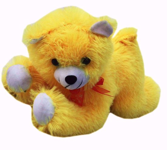 Yellow dog Teddy , teddy bear dog  online