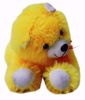 Yellow dog Teddy , teddy bear dog online