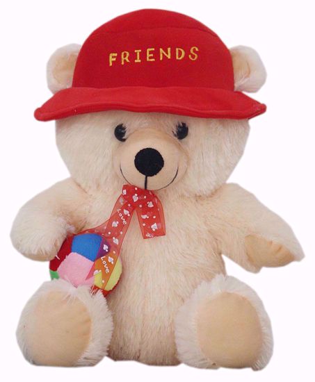 teddybear Girl friend fucks