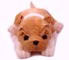bull dog- 25 cm,bulldogs for sale online