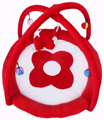 Baby Play gym-red,best play gym online