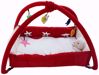 Picture of Baby Play Gym Square-Red With Toys