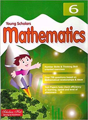 Young scholar mathematics Six
