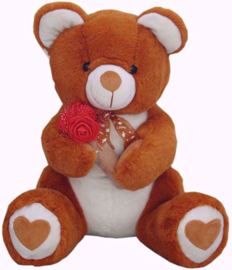 Brown Teddy With Roses