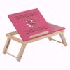 Baby Laptop Table Flower pink