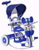 Tricycle Rocking  Blue