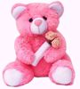 pink-teddy-with-roses