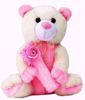 Cream-And-Pink-Teddy