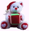 Santa - Teddy With -Gift