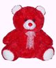 Teddy Bear Ribbon- Red