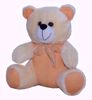 Teddy-Bear-With-Cream