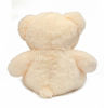 Munich Teddy Bear-Cream
