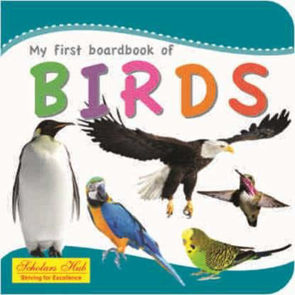 Board Books-Birds