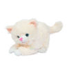 Picture of Baby Cat-Cream
