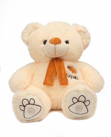 Picture for category teddy